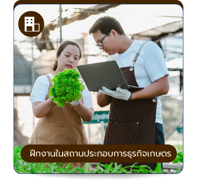 ฝึกงานในสถานประกอบการธุรกิจเกษตร